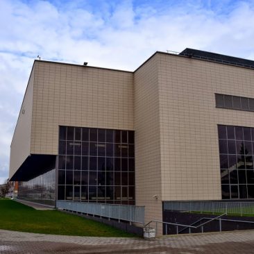Alytaus arena