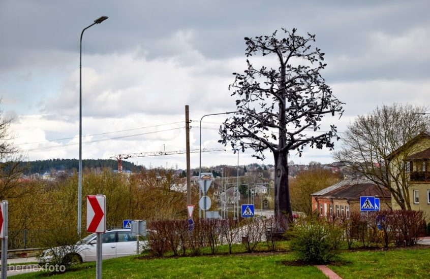 Skulptūra – metalinis ąžuolas