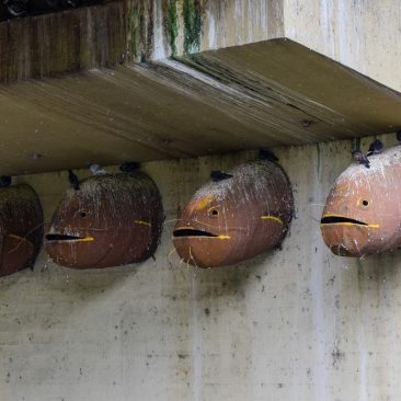 Skulptūrų ansamblis „Suvalgytos žuvys“