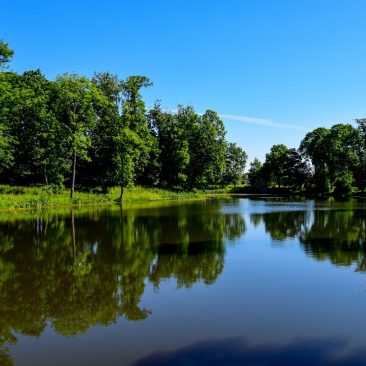 Plungės dvaro parkas
