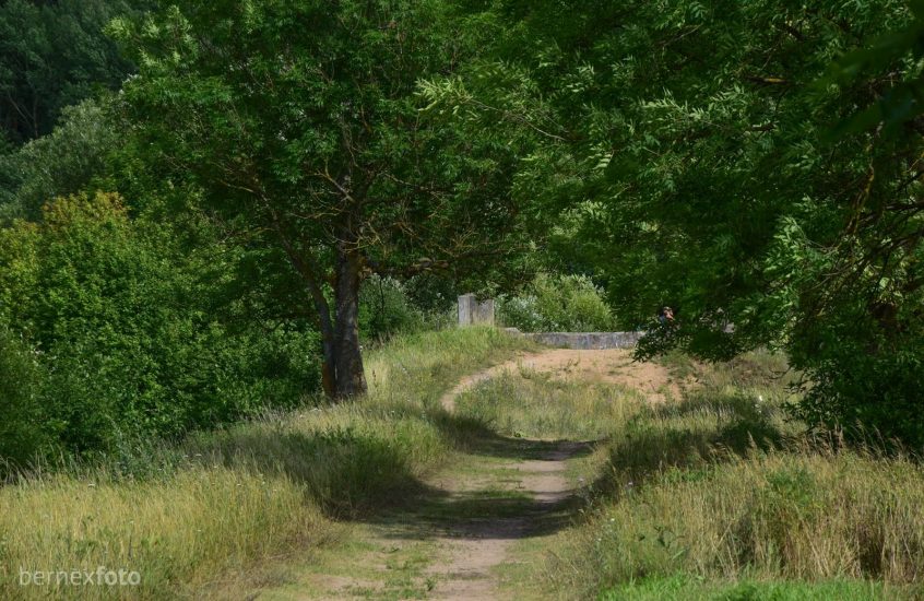 Senojo Raudondvario tilto likučiai